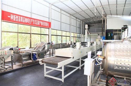 兩個全國唯一 云南咖啡 代表中國 背后的科技加持