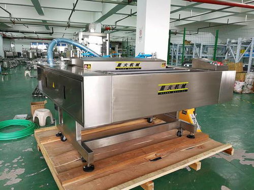 真空食品包裝機(jī) 全自動連續(xù)式食品真空包裝機(jī) 星火機(jī)械設(shè)備